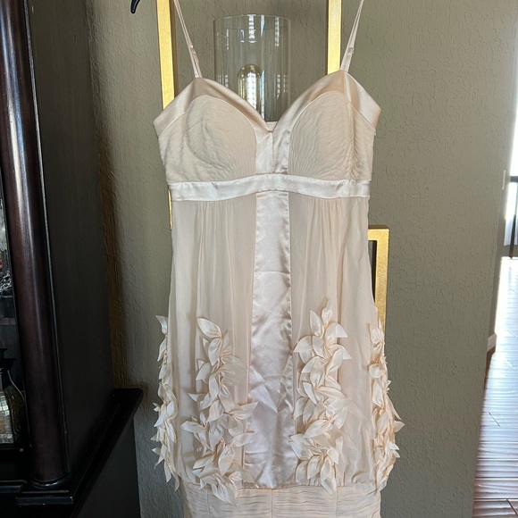 Stunning Sue Wong Size 2 Cocktail dress for prom - Picture 5 of 6